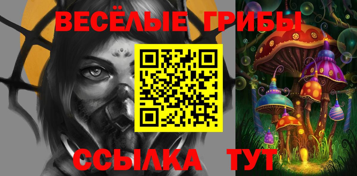 Котлас  Псилоцибиновые грибы Magic Shrooms  Псилоцибиновые грибы мицелий  Вход с VPN 